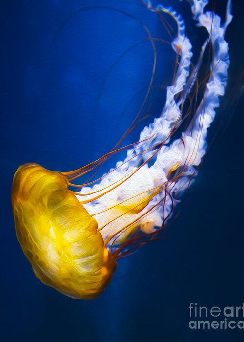 Majestic Jellyfish Greeting Card featuring the photograph Majestic Jellyfish by Michael Ver Sprill