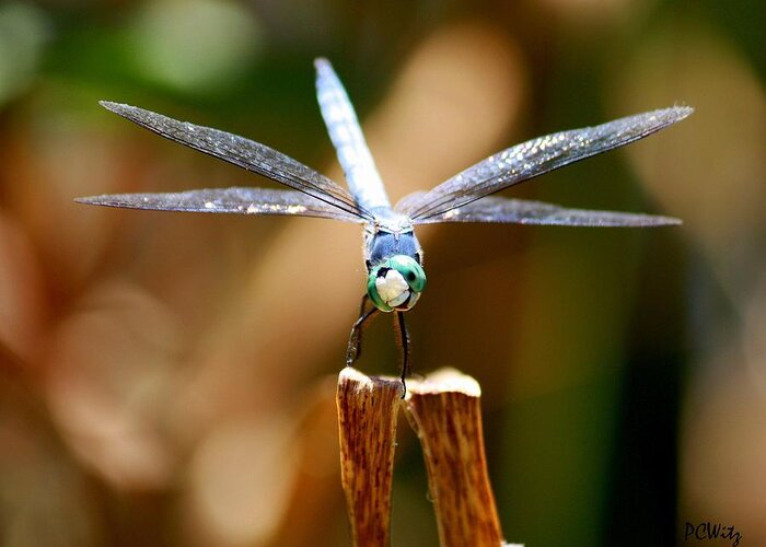 Dragonfly Greeting Card featuring the photograph Made Ya Smile by Patrick Witz