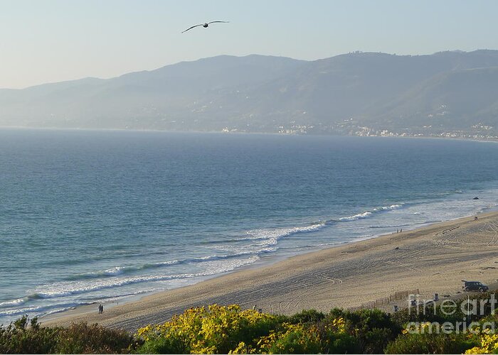 Greeting Card featuring the photograph Malibu - View by Nora Boghossian