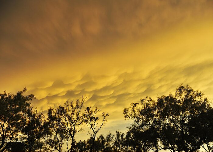 Clouds Greeting Card featuring the photograph Mammatus Clouds at Sunset by Karen Slagle