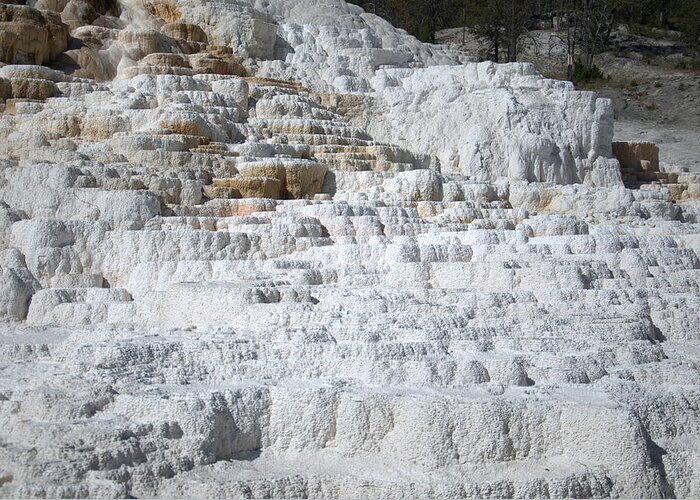 White Greeting Card featuring the photograph Mammoth Hotsprings 3 by Frank Madia