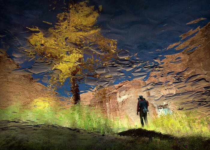 Puddle Greeting Card featuring the photograph Man In Nature - Into The Canyon by Shenshen Dou