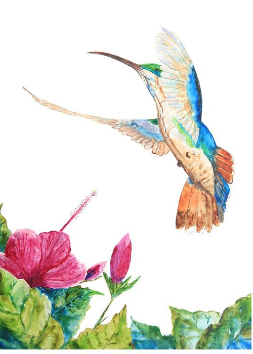 Mango Hummingbird Greeting Card featuring the painting Mango Hummingbird by Patricia Beebe