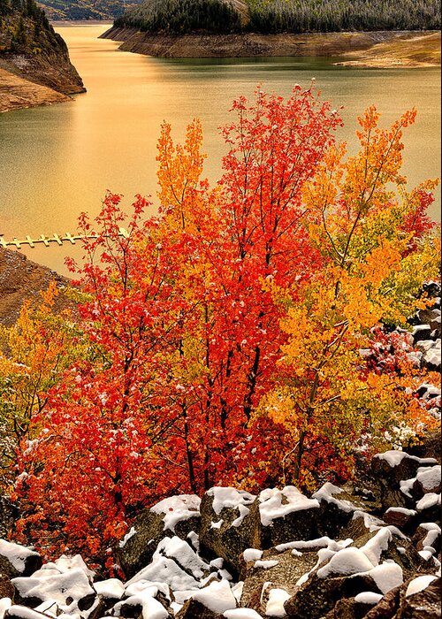 Palisades Greeting Card featuring the photograph Maples Along the Palisades by Greg Norrell