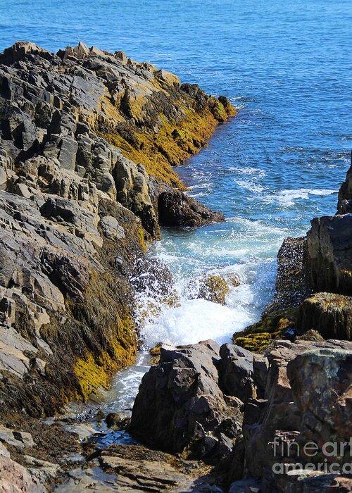 Landscape Greeting Card featuring the photograph Marginal Way Crevice by Jemmy Archer