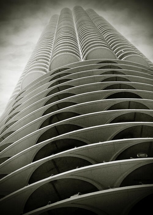 Petal Greeting Card featuring the photograph Marina City Chicago IL by Alexandra Till