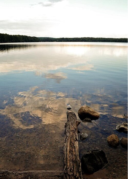 Landscapes Greeting Card featuring the photograph Marion Lake Reflections by Michelle Calkins
