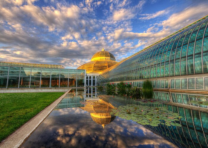Architecture Greeting Card featuring the photograph Marjorie Mcneely Conservatory Evening by Wayne Moran