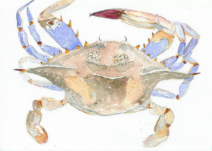 Crab Greeting Card featuring the painting Maryland Crab by Anne Marie Brown