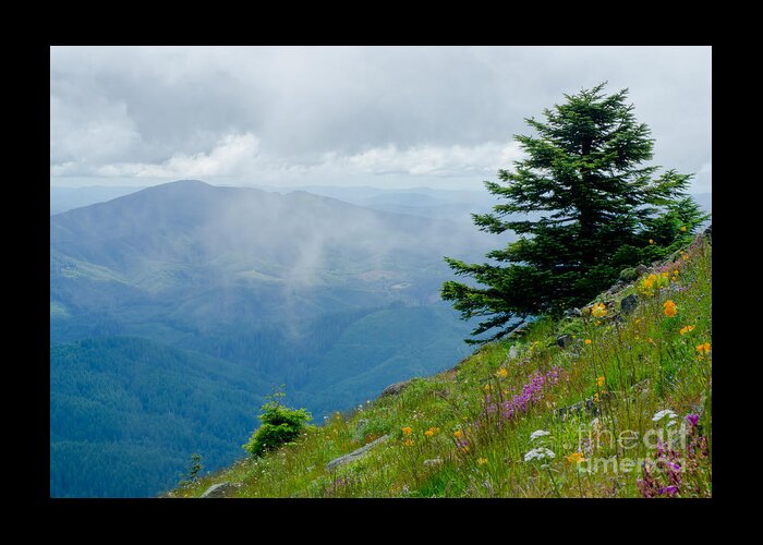 Corvallis Greeting Card featuring the photograph Mary's Peak Viewpoint by Nick Boren