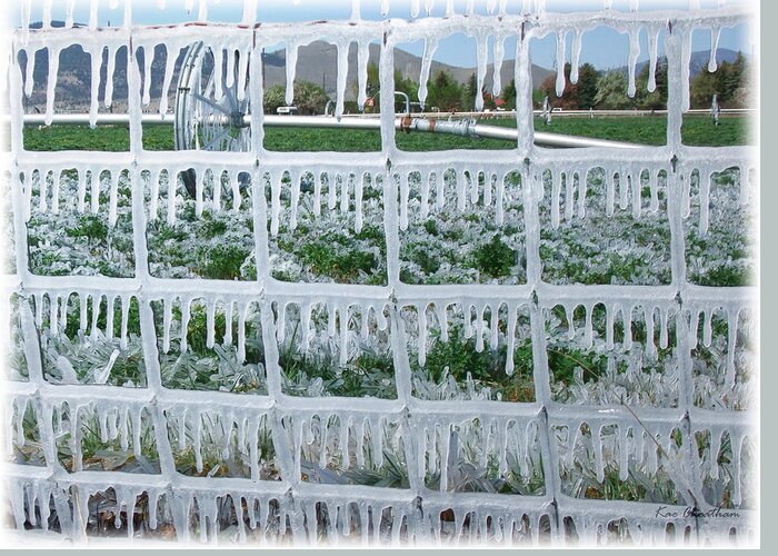 Ice On Fence Greeting Card featuring the photograph May Irrigation #2 by Kae Cheatham