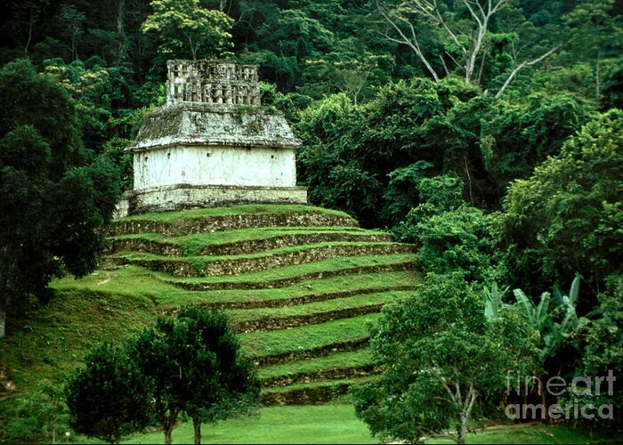 Landscape Greeting Card featuring the photograph Mayan Pyramid at Palenque by Eva Kato