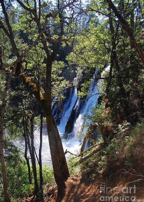 Mcarthur-burney Falls Memorial State Park Greeting Card featuring the photograph McArthur-Burney Falls Side View by Debra Thompson