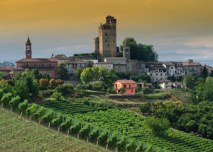 Scenics Greeting Card featuring the photograph Medieval Castle And Vineyard by Flory