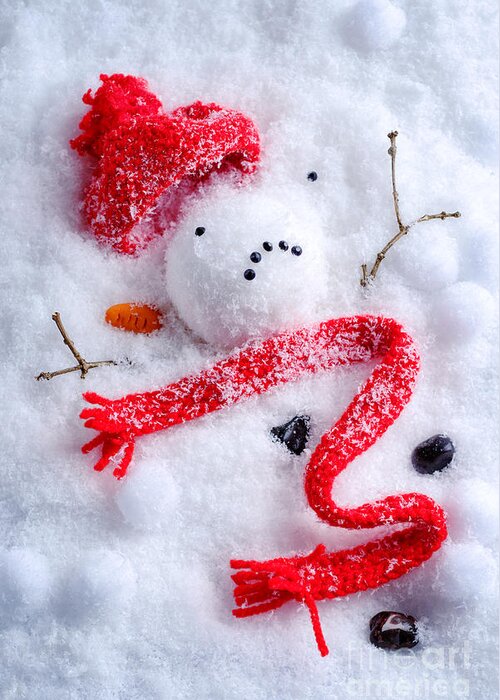 Snowman Greeting Card featuring the photograph Melted Snowman by Amanda Elwell