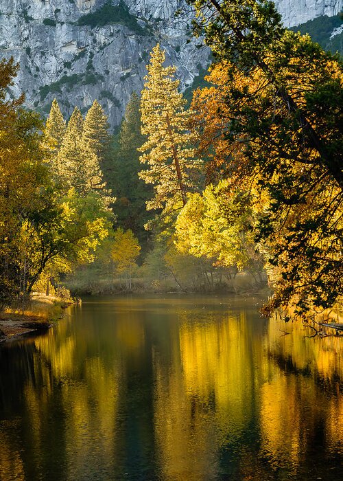 Merced River Greeting Card featuring the photograph Merced Colors by Chuck Jason