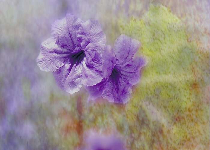 Flowers Greeting Card featuring the photograph Mexican Petunia by Judy Hall-Folde