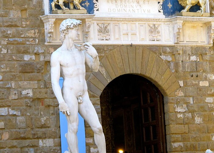 Roman Statue Greeting Card featuring the photograph Michelangelo's David by Sue Morris