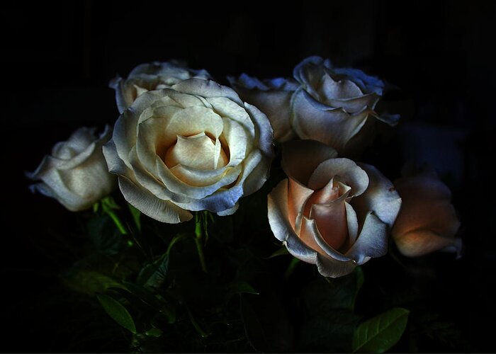 Flower Greeting Card featuring the photograph Midnight Roses by Joan Bertucci