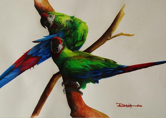 Paintings Greeting Card featuring the painting Military Macaws by Dana Newman