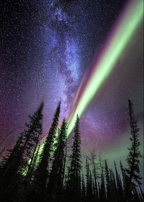Alaska Greeting Card featuring the photograph Milky Way And The Aurora Borealis by Chris Madeley