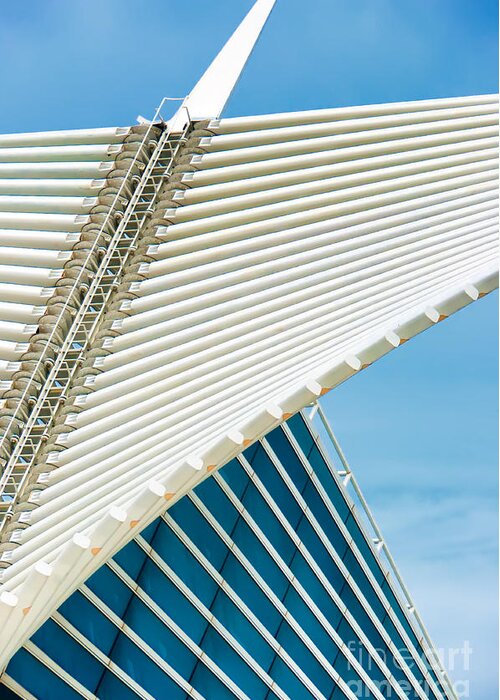 Milwaukee Art Museum Greeting Card featuring the photograph Milwaukee Art Museum by David Perry Lawrence