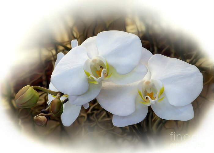Photography Greeting Card featuring the photograph Miniature Orchid by Kaye Menner