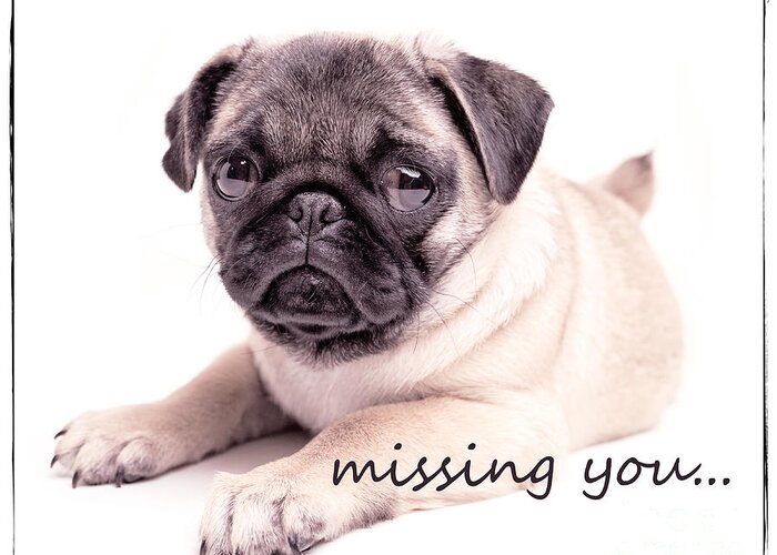 Sad Greeting Card featuring the photograph Missing You... by Edward Fielding