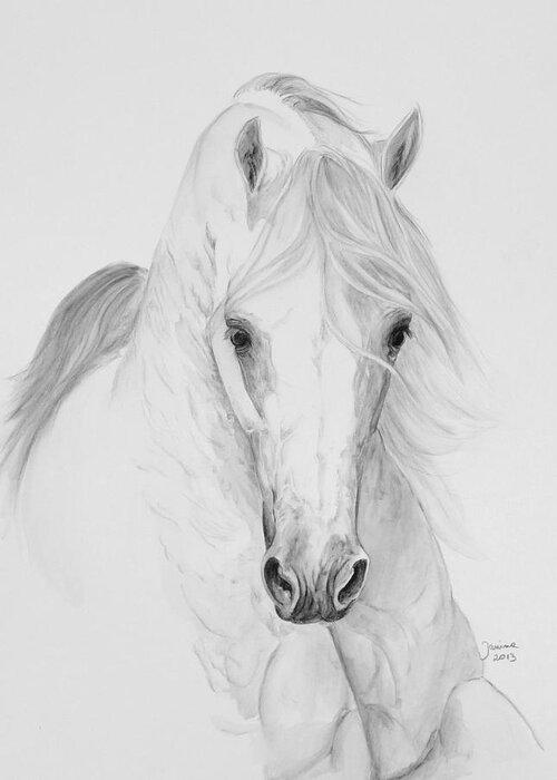 Arabian Horse Art Greeting Card featuring the painting Misterioso 2013 by Janina Suuronen