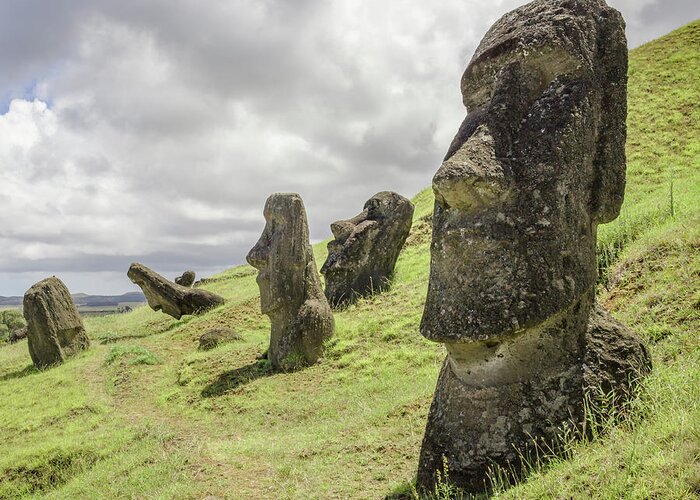 Tranquility Greeting Card featuring the photograph Moai Statues At Rano Raraku, The Moai by David Madison