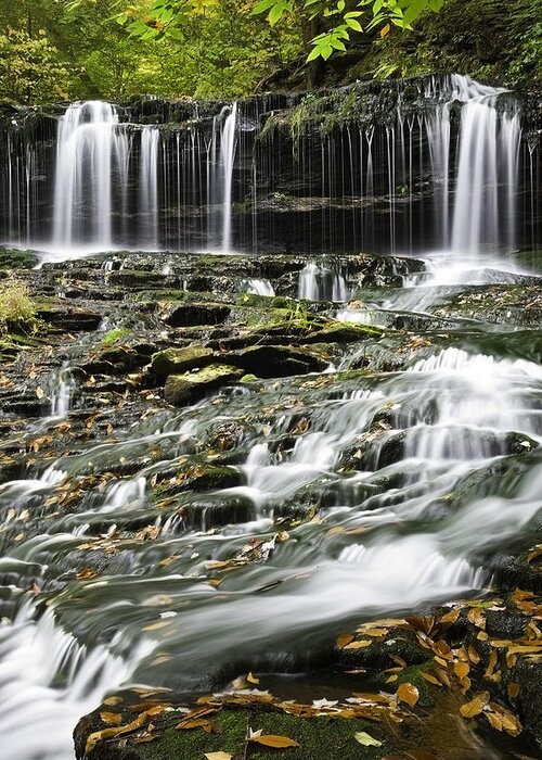 Ricketts Glen Greeting Card featuring the photograph Mohawk Falls 2 by Paul Riedinger