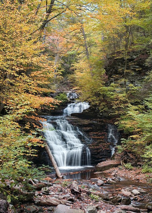 Mohican Falls Greeting Card featuring the photograph Mohican Falls Framed By Autumn Splendor by Gene Walls