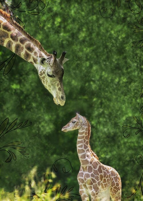 Giraffe Greeting Card featuring the photograph Momma Loves Me by Marianne Campolongo