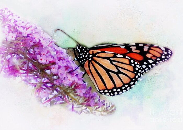Butterfly Greeting Card featuring the photograph Monarch Butterfly by Irina Hays