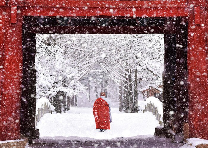 Red Greeting Card featuring the photograph Monk In Snowy Day by Bongok Namkoong