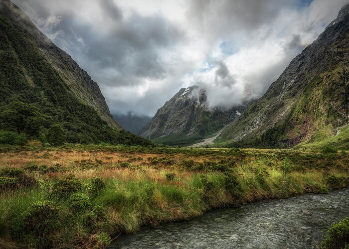 Scenics Greeting Card featuring the photograph Monkey Creek | Fiordland, New Zealand by Copyright Lorenzo Montezemolo