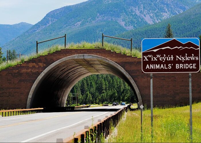 Landscape Greeting Card featuring the photograph Montana Highway - #2 Animals' Bridge by Kae Cheatham