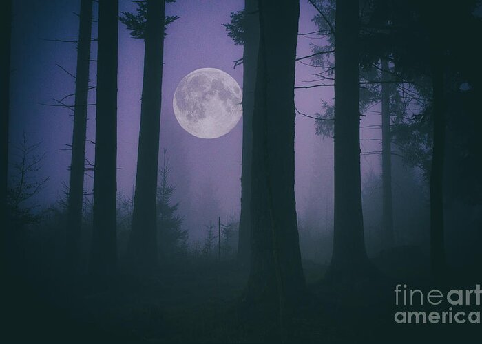 Landscape Greeting Card featuring the photograph Moon and Fog in a Forest by Sabine Jacobs