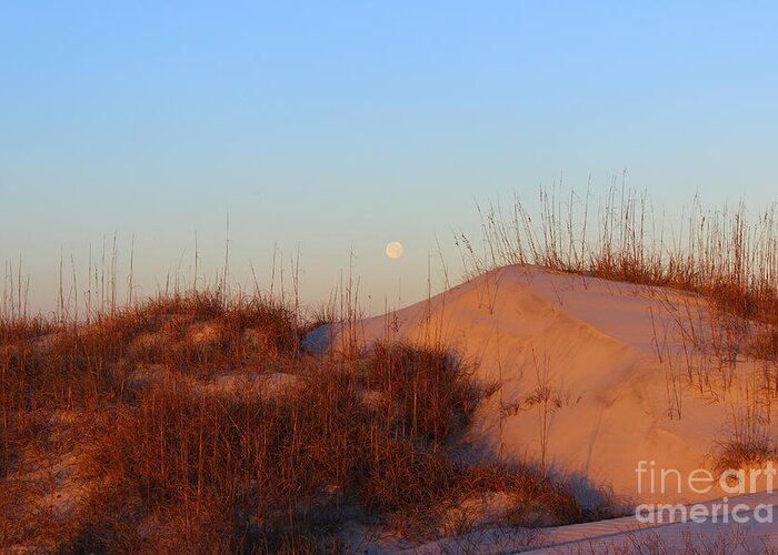 Moon Greeting Card featuring the photograph Moon Over Dunes by Andre Turner