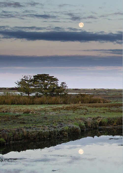 Salt Marsh Greeting Card featuring the photograph Moon Over Marsh by Jennifer Kano