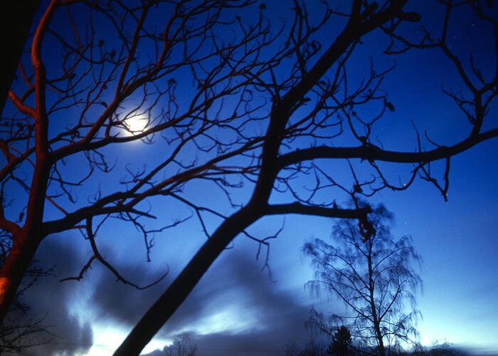 Spooky Greeting Card featuring the photograph Moon Shines While Clouds Streak By by Aaron Mccoy