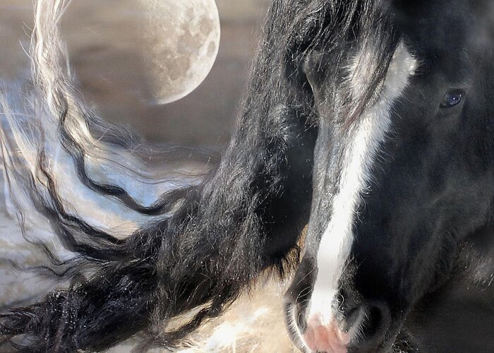 Horse Art Prints Greeting Card featuring the photograph Moonlight and Valentino by Fran J Scott