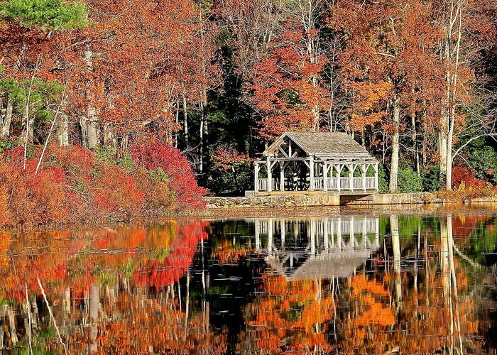 Reflections Greeting Card featuring the photograph Moore State Park Autumn II by Michael Saunders