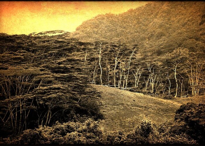 Polynesia Greeting Card featuring the digital art Moorea Landscape by Milton Thompson
