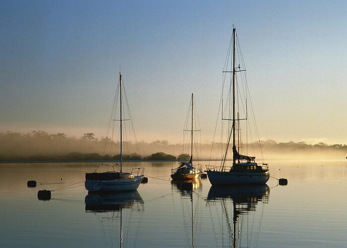 Sailboat Greeting Card featuring the photograph Moored Boats At Sunrise by Richard I'anson
