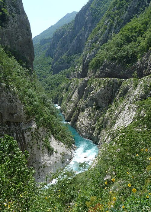 Moraca River Greeting Card featuring the photograph Moraca River Canyon - Montenegro by Phil Banks