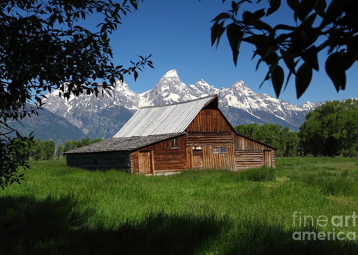 Frame Greeting Card featuring the photograph Mormon Row Barn by Bill Singleton