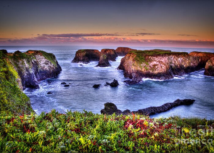 Ocean Greeting Card featuring the photograph Morning at the Cove by Paul Gillham