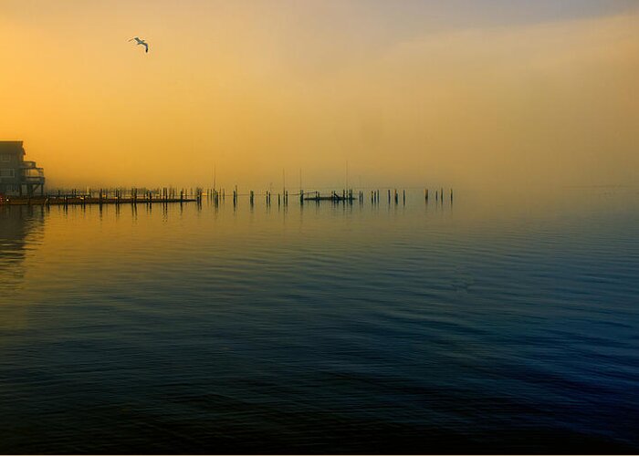 Morning Greeting Card featuring the photograph Morning Comes on the Bay by John Rivera