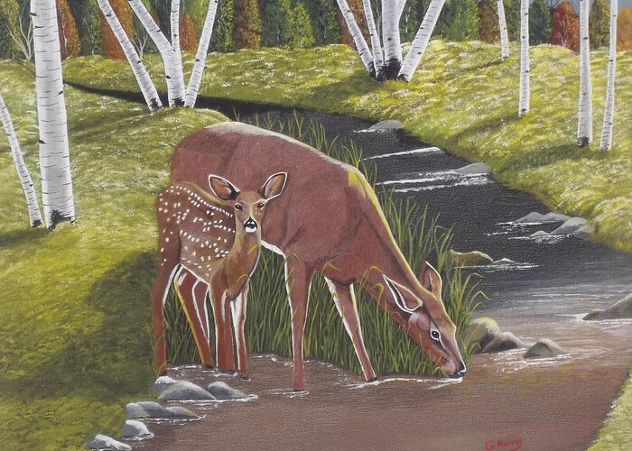 Deer Greeting Card featuring the painting Morning Drink by Gregory Murray